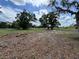 Spacious lot with scattered leaves and a few trees, creating a tranquil and natural environment at 1425 Douglas Rd, Groveland, FL 34736