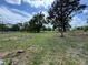 Large lot with mature trees under a partly cloudy sky, offering a serene and spacious setting at 1425 Douglas Rd, Groveland, FL 34736