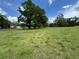 A serene view of open land with mature trees, showcasing the property's potential and natural beauty at 1425 Douglas Rd, Groveland, FL 34736