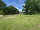 Expansive lot with lush green grass and large mature trees, perfect for building your dream home at 1425 Douglas Rd, Groveland, FL 34736