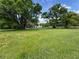 Sprawling lot with lush green grass and mature trees, offering a serene and private setting at 1425 Douglas Rd, Groveland, FL 34736