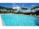 Gorgeous community pool surrounded by lush palm trees and comfortable lounge chairs perfect for relaxing in the sun at 146 Essex Pl, Davenport, FL 33896