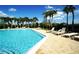 Stunning community pool with palm trees, poolside lounge chairs, and an inviting atmosphere for leisure and recreation at 146 Essex Pl, Davenport, FL 33896