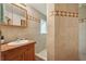 Cozy bathroom featuring tiled walk-in shower, single sink vanity and neutral color scheme at 1901 Brookside Dr, Mount Dora, FL 32757