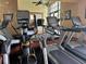 A treadmill and elliptical are featured in the fitness center with mirrored wall, providing residents with workout options at 25962 High Hampton Cir, Sorrento, FL 32776