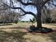 An eagle statue overlooks lush green spaces offering residents a serene environment with views of the golf course at 25962 High Hampton Cir, Sorrento, FL 32776