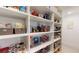 Bright walk-in pantry with organized shelving and ample storage space at 25962 High Hampton Cir, Sorrento, FL 32776