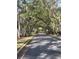 Beautiful street view showcasing the lush tree canopy in this scenic community at 25962 High Hampton Cir, Sorrento, FL 32776