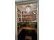Walk-in pantry featuring a chandelier and organized shelving with decorative baskets and countertops at 2756 Sequoyah Dr, Haines City, FL 33844