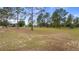 Vast, grassy backyard with mature trees offering privacy and space for recreation and outdoor enjoyment at 7973 Lake Nellie Rd, Clermont, FL 34714