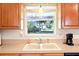 Kitchen counter featuring double sink and garden view window at 915 Sutherland Ct, Leesburg, FL 34788