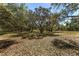 Picturesque yard with mature trees and dappled sunlight, creating a tranquil and inviting outdoor space at 10159 Se 174Th St, Summerfield, FL 34491