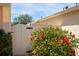 A side gate and blooming hibiscus add charm to the yard at 1208 Santa Cruz Dr, The Villages, FL 32162
