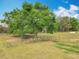 Large backyard with a mature tree and a partially fenced grassy area at 13013 County Road 561A, Clermont, FL 34715