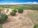 An expansive rural landscape displaying a blend of open spaces and clusters of mature trees at 13013 County Road 561A, Clermont, FL 34715