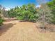 Secluded property with mature trees and rustic fencing, creating a private and tranquil setting at 13013 County Road 561A, Clermont, FL 34715