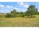 Expansive backyard with lush green grass and mature trees, ideal for outdoor activities and relaxation at 1966 Wallingford Loop, Mount Dora, FL 32757
