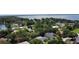 An aerial view of homes with mature trees surrounding a lake, partially blocking the view at 3030 Brighton Rd, Eustis, FL 32726