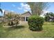 Lush backyard featuring mature landscaping, palm trees and a well-maintained lawn at 419 Aldama Ave, The Villages, FL 32159