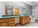 Bathroom features a large mirror with vanity lighting, wooden cabinets, and a toilet in a spacious interior at 4635 Brantley Rd, Groveland, FL 34736