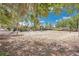 Sandy community volleyball court surrounded by lush landscaping and mature trees at 598 Marcello Blvd, Kissimmee, FL 34746