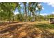 Expansive backyard with mature trees and the home with shed in the background at 814 Olive Ave, Fruitland Park, FL 34731