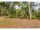 Tranquil wooded area on the property, showcasing the natural landscape at 814 Olive Ave, Fruitland Park, FL 34731