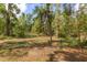 Natural wooded area featuring lush greenery, mature trees, and a serene setting at 814 Olive Ave, Fruitland Park, FL 34731