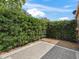 Backyard features brick pavers and lush hedges providing a private backyard at 1003 Parker Pl, Lady Lake, FL 32159