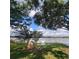 Picturesque backyard with mature trees, shed and private dock extending onto tranquil lake, perfect for enjoying the waterfront at 11024 Windchime Cir, Clermont, FL 34711