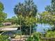 Scenic water view featuring tall palm trees, a covered boat dock, and lush greenery at 12110 Palmetto Ct, Dunnellon, FL 34432