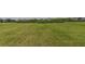 Expansive, lush backyard featuring healthy green grass at 1422 Jeremy Cir, The Villages, FL 34762