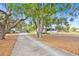 Charming one-story home with a long driveway, lush trees, and well-maintained lawn at 16724 Highland Ave, Montverde, FL 34756