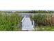Picturesque view of a well-kept dock providing direct access to the serene lake at 25 Captains Pt, Fruitland Park, FL 34731