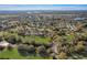 Wide aerial view of neighborhood with mature trees and green spaces and ponds at 25273 Lost Oak Cir, Leesburg, FL 34748