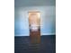 Bathroom view highlighting the soaking tub, wood-look floors, and ample lighting at 33710 Linda Ln, Leesburg, FL 34748