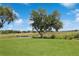 Lush green backyard with a pond in the distance at 4723 Saint Andrews Arc, Leesburg, FL 34748