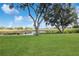 Lush green backyard overlooking serene pond view at 4723 Saint Andrews Arc, Leesburg, FL 34748