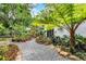 Lush backyard oasis featuring a gravel path, mature trees, and vibrant tropical plants at 545 W Cummings St, Lake Alfred, FL 33850