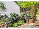 Serene backyard pond with lush tropical plants, rocks, and goldfish at 545 W Cummings St, Lake Alfred, FL 33850