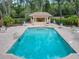 Overhead shot of community pool showcasing aqua blue water, a pool house, and outdoor seating at 602 Camino Real Blvd # 602, Howey In The Hills, FL 34737
