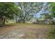 A spacious backyard featuring mature trees and lush greenery, offering a serene outdoor space at 74 Stone Haven Ct, Leesburg, FL 34788