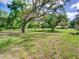 Large yard with mature trees and green grass surrounding the property at 10166 Cr 671, Bushnell, FL 33513