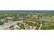 Aerial view of the neighborhood featuring mature trees, a lake, and green landscapes at 10339 Patrick Dr, Leesburg, FL 34788