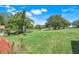 Expansive backyard featuring well-maintained grass and mature trees, providing a serene outdoor space at 1159 Greenley Ave, Groveland, FL 34736