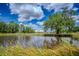 Scenic view of the property with a peaceful pond, lush trees and view of the home in the background at 15141 Farm Rd, Groveland, FL 34736