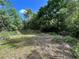 Large, sunny backyard space with potential for landscaping and recreational use at 2107 Hollywood Ave, Eustis, FL 32726