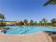 Resort-style community pool featuring lap lanes, palm trees, and shaded lounge areas, perfect for relaxation at 223 Crepe Myrtle Dr, Groveland, FL 34736