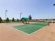 Community amenity featuring well-maintained pickleball courts, perfect for active recreation at 223 Crepe Myrtle Dr, Groveland, FL 34736