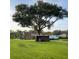 Large backyard with mature tree, storage shed, and RV parking for outdoor adventures at 3511 Fox Lake Dr, Apopka, FL 32712